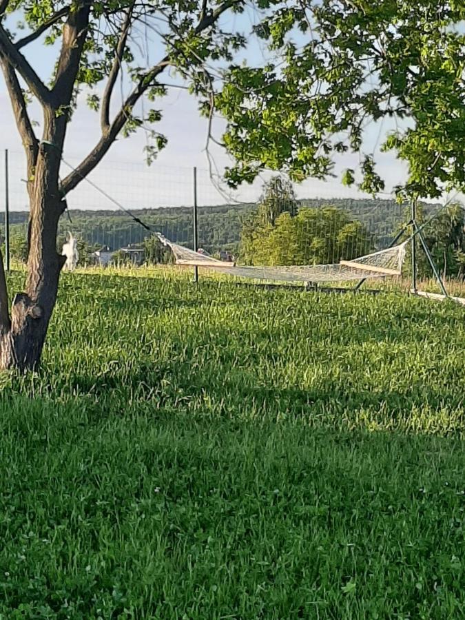 Gosp. Agroturystyczne Stary Gaj Villa Zerkowice Екстериор снимка