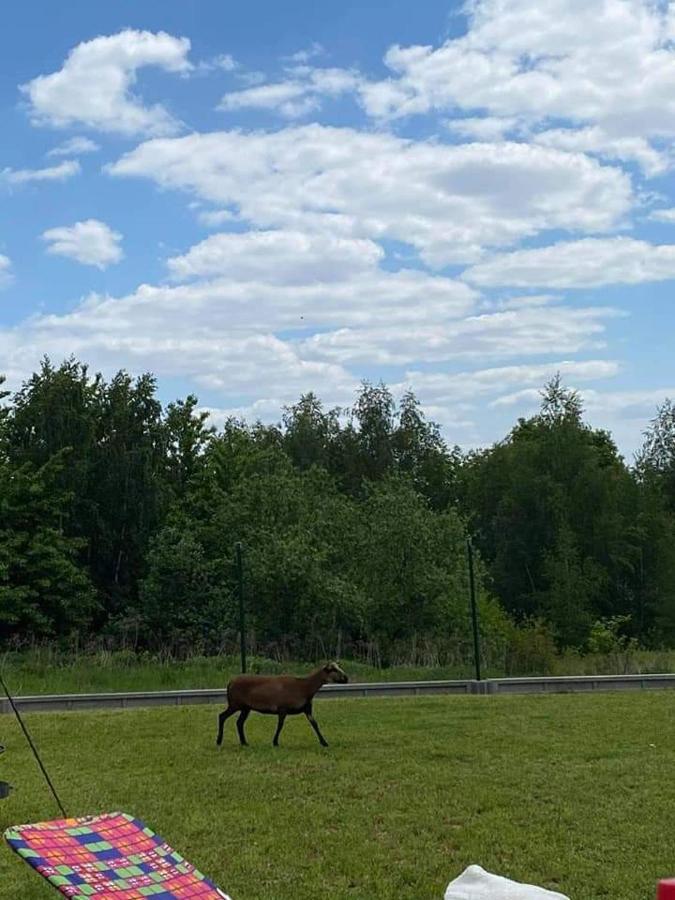 Gosp. Agroturystyczne Stary Gaj Villa Zerkowice Екстериор снимка