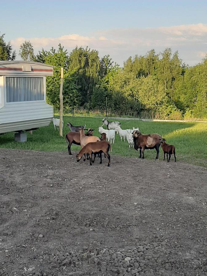Gosp. Agroturystyczne Stary Gaj Villa Zerkowice Екстериор снимка