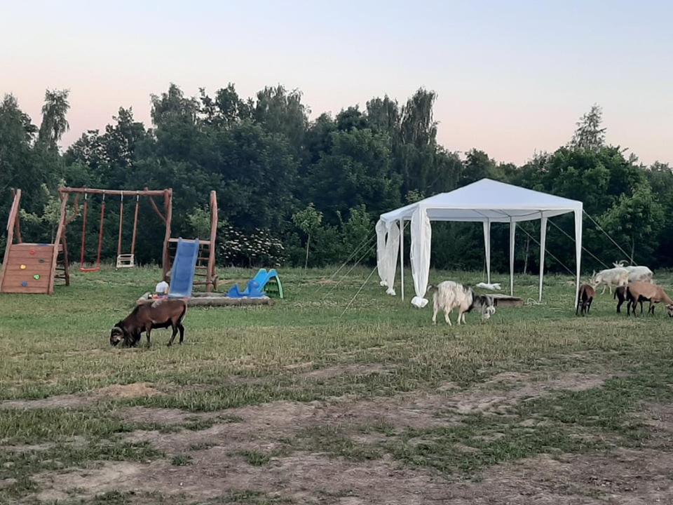 Gosp. Agroturystyczne Stary Gaj Villa Zerkowice Екстериор снимка