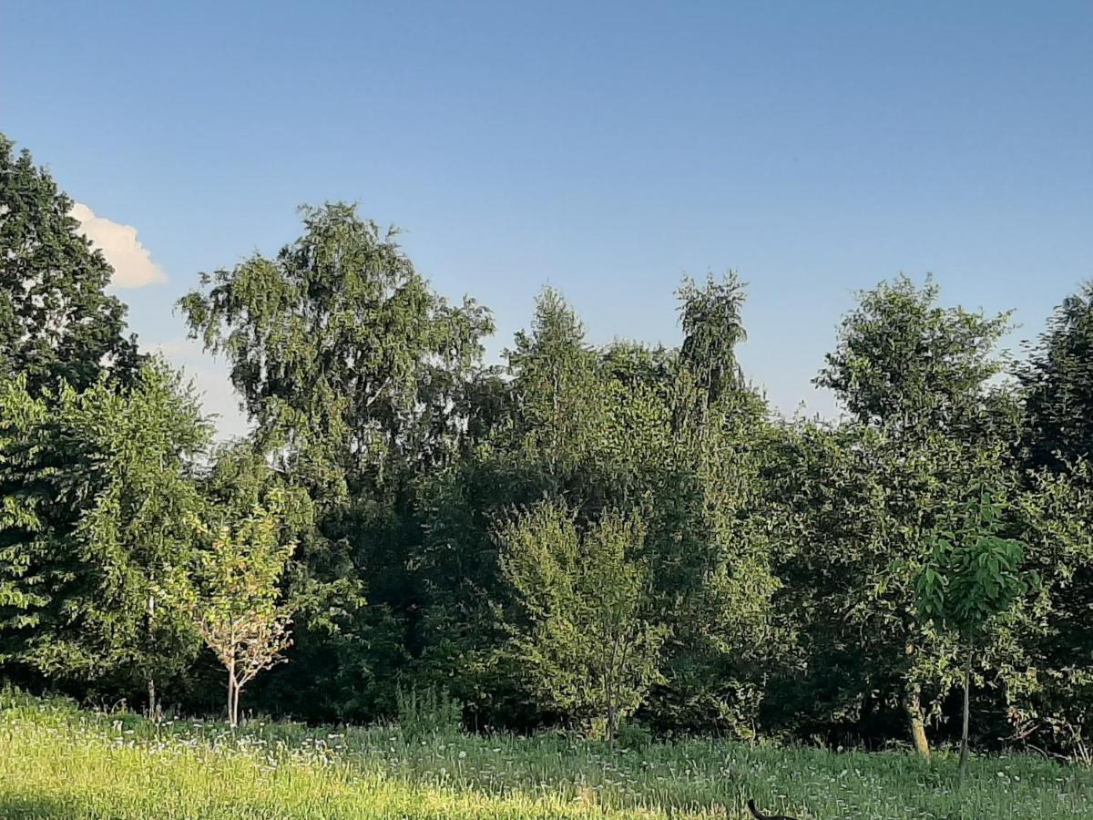 Gosp. Agroturystyczne Stary Gaj Villa Zerkowice Екстериор снимка